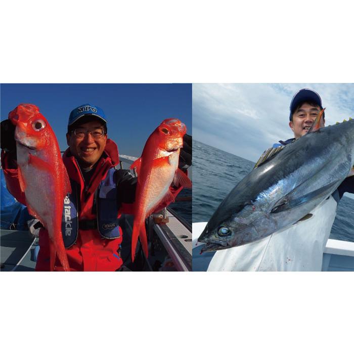 値下げ！アルファタックル　スフィンクス ツナ＆ディープ　190 アルファタックル スフィンクス ツナ＆ディープ 190 alpha