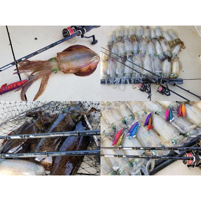 tailwalk（テイルウォーク） ティップバン SSD S65ML/SL tailwalk