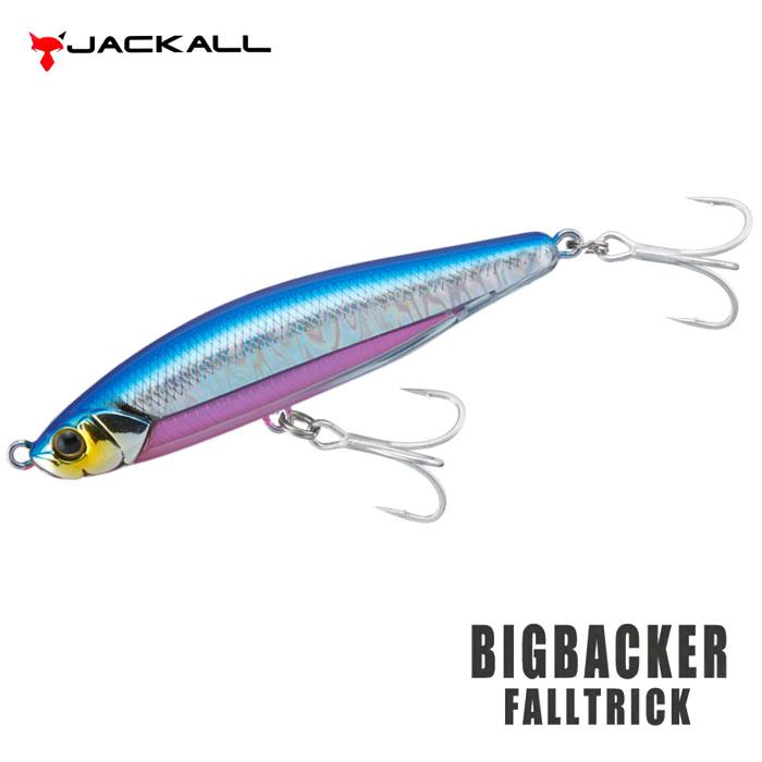 【新品未使用】ジャッカル ビッグバッカー セット売り まとめて JACKALL（ジャッカル） ビッグバッカーFIT JIG 10g メタルジグ BIG