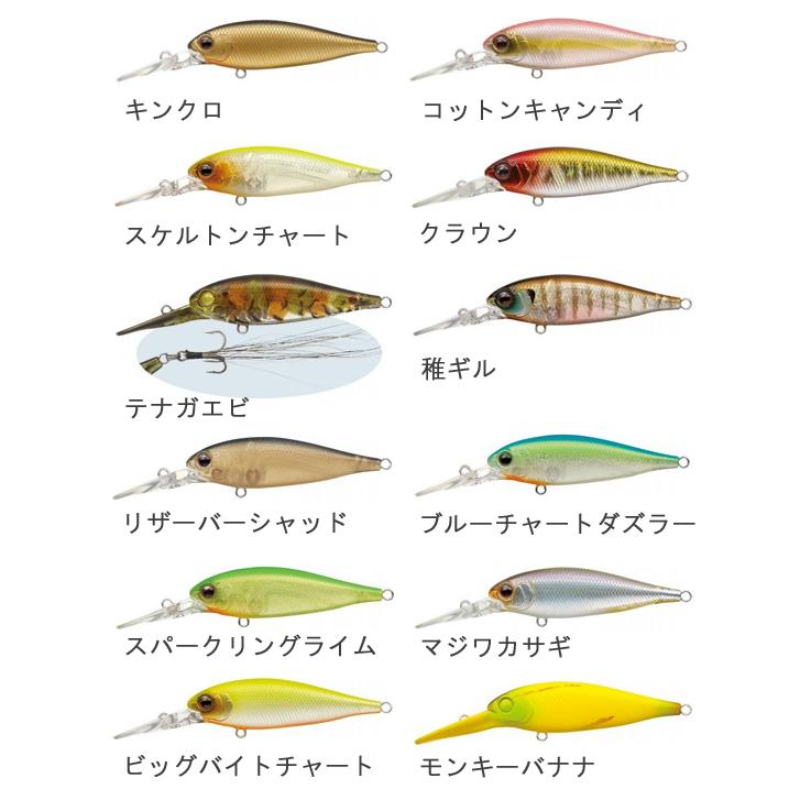 EverGreen（エバーグリーン） 【全13色】【メール便可】 バンク