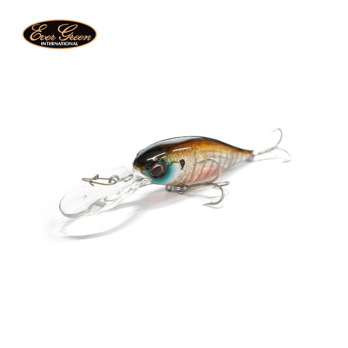 EverGreen（エバーグリーン） 【全13色】【メール便可】 バンク