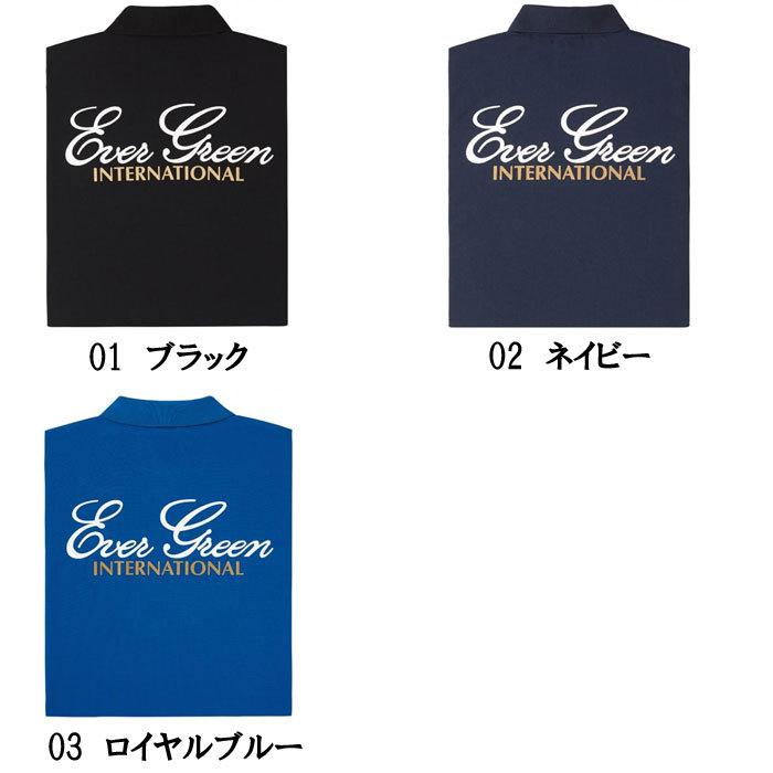 充実の品 エバーグリーン Egドライポロシャツ Aタイプ Evergreen Eg Dry Polo Shirt4 950円 Aynaelda Com