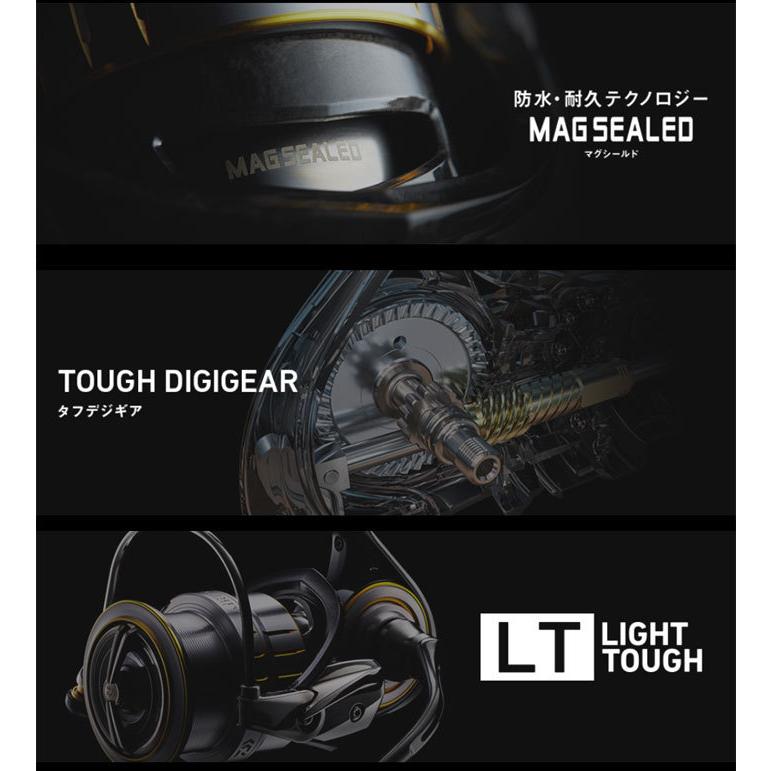 DAIWA（ダイワ） 21ルビアスエアリティ LT3000 DAIWA LUVIAS AIRITY