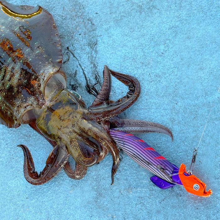 クレイジーオーシャン オーシャンシンカーV 7g-40g 26個&取付ゴム