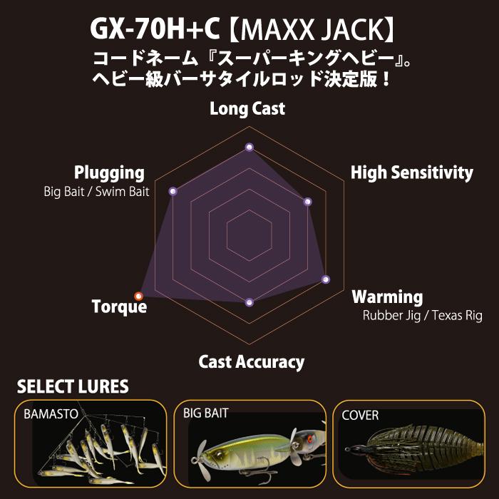 RAID JAPAN（レイドジャパン） グラディエーター マキシマム GX-70H+C