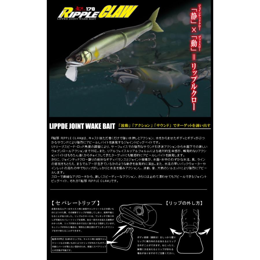 GAN CRAFT（ガンクラフト） リップルクロー 178 極カラー : バック