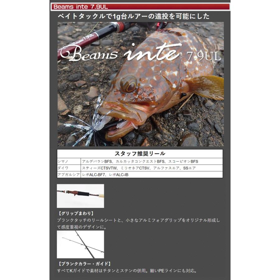 フィッシュマン ビームス インテ 7.9UL FISHMAN Beams inteの画像
