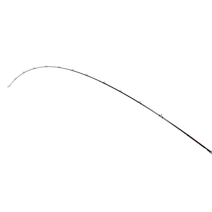 252095834_2