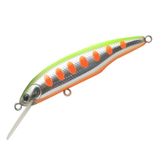 PALMS 【全15色】パームス エスクロール SC-65S PALMS : バック