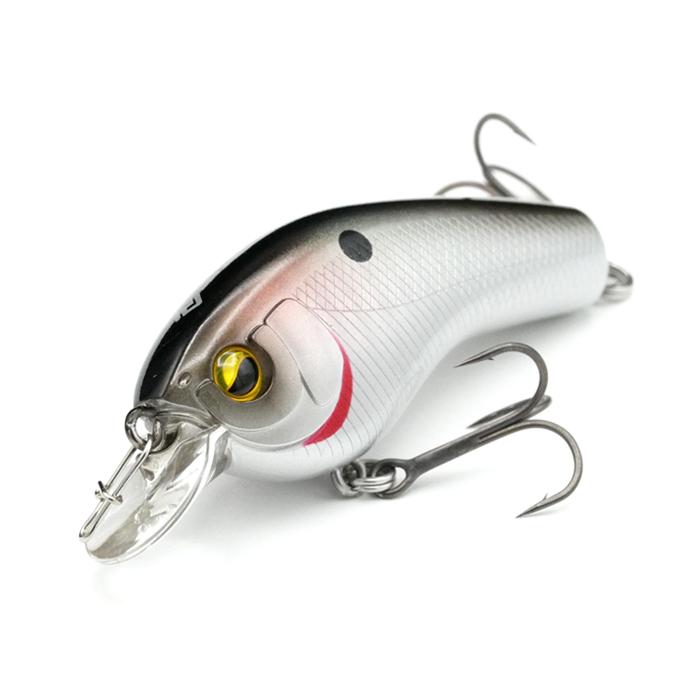 RAID JAPAN レイドジャパン SKM スーパー高速マシーン : バック