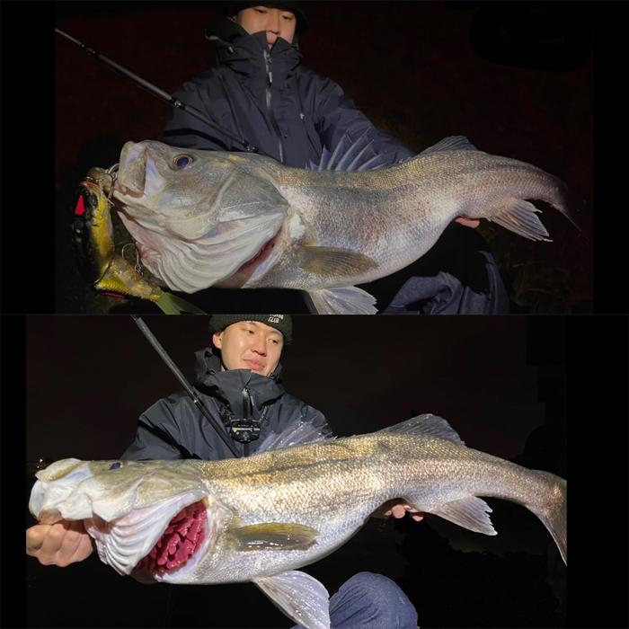 値下げしました！スタジオコンポジット グレイゴースト ナイトロン98M