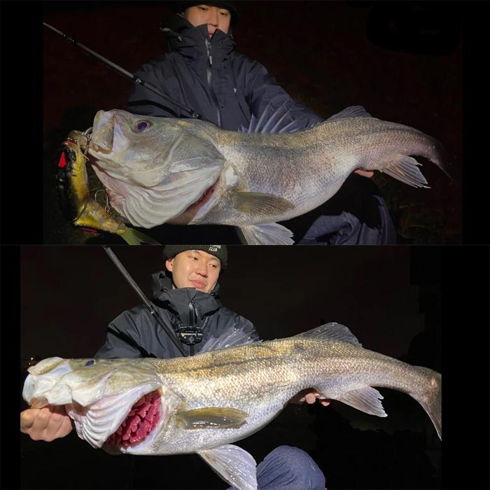 ID グレイゴースト ナイトヘロン 92MH （スタジオコンポジット