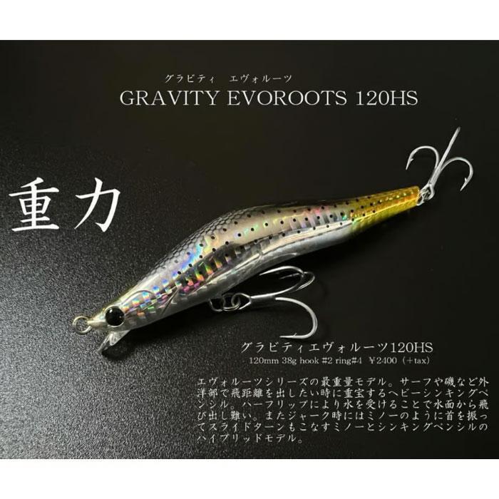 全12色】 ブレイズアイグラヴィティ エヴォルーツ 120HS : バック