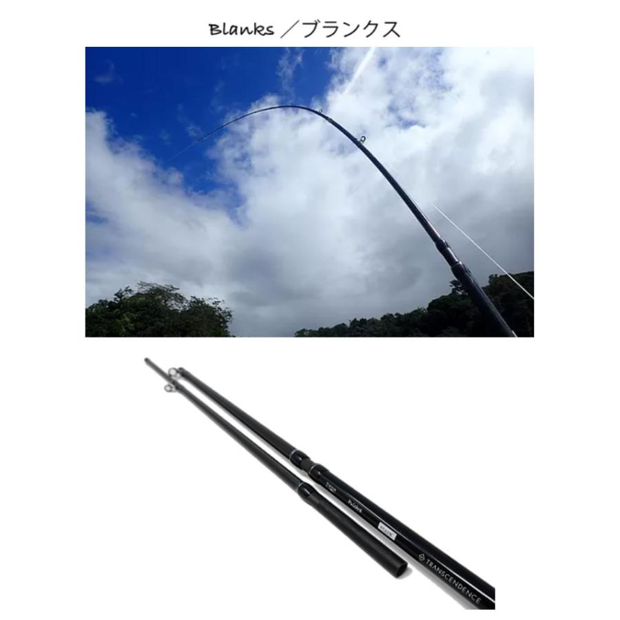 トランスセンデンス プルクラ 62B+ TRANSCENDENCE Pulchra トランスセンデンス プルクラ 62B+ TRANSCENDENCE Pulchra
