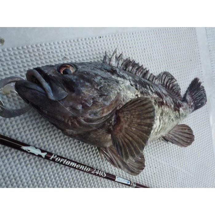 TULALA ツララ ポルタメント 240S TULALA Portament : バックラッシュ