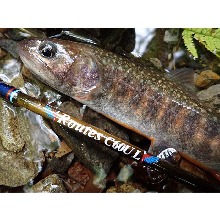 ツララ ルーツ c60ul