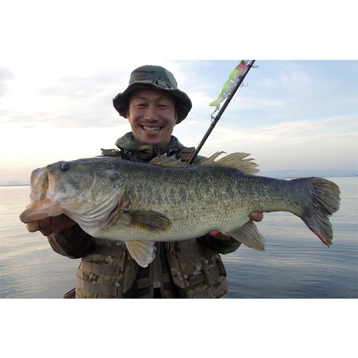 ツララ エルホリゾンテ 80 TULALA El HORIZONTE : バックラッシュYahoo