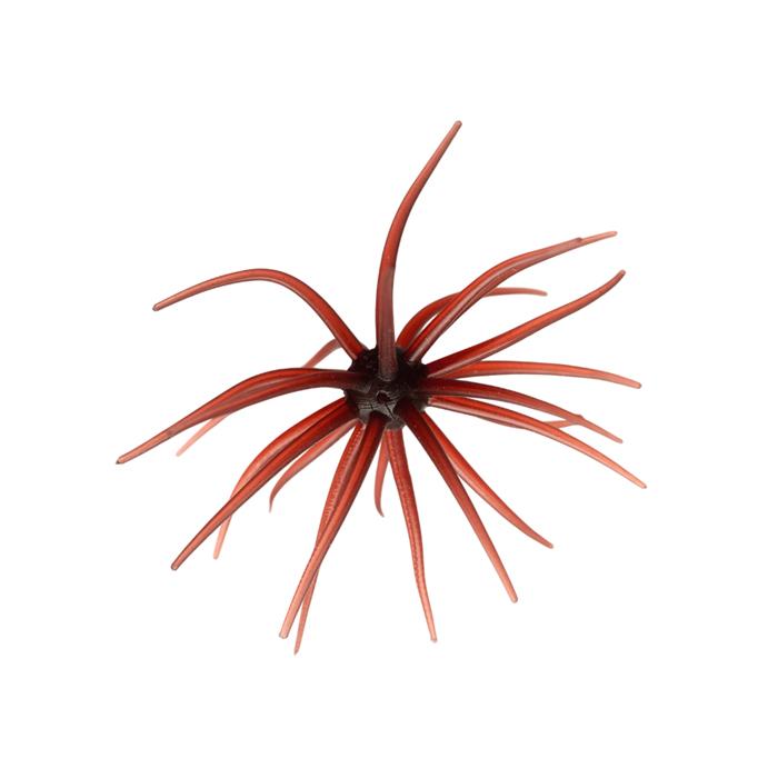 ハイドアップ　旧コイケ 旧コイケ HIDEUP ハイドアップ