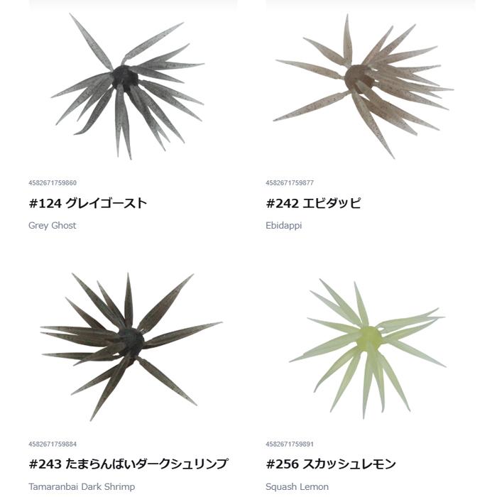 HIDEUP（ハイドアップ） コイケフィッシュ Mサイズ 17mm : バック