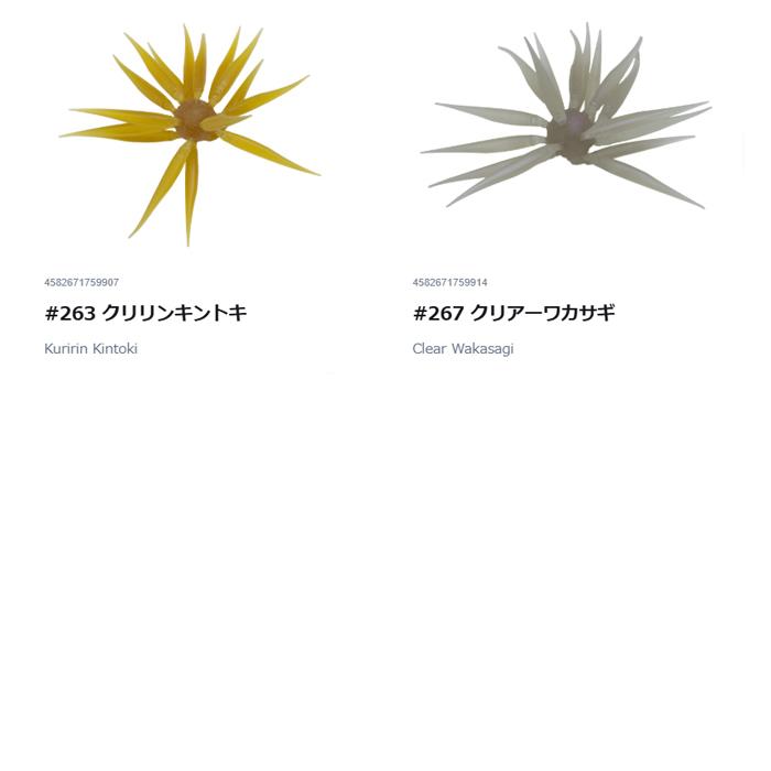HIDEUP（ハイドアップ） コイケフィッシュ Mサイズ 17mm : バック