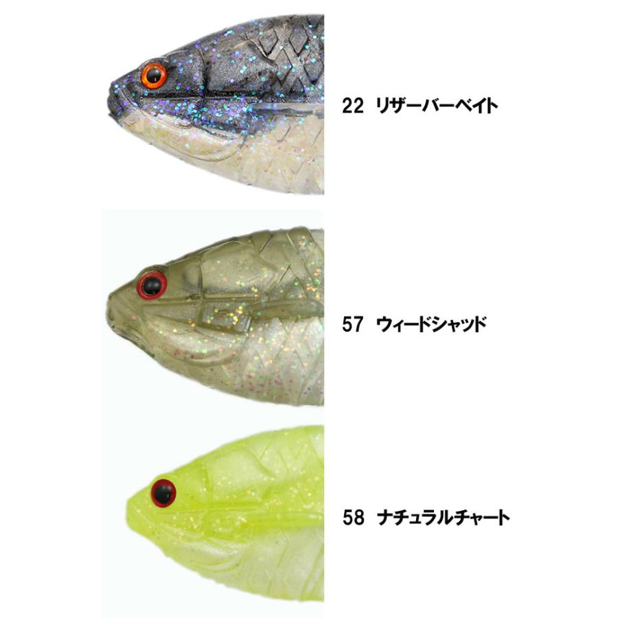 一誠 ギルフラット ツートンカラー issei GILL FLAT : バックラッシュ