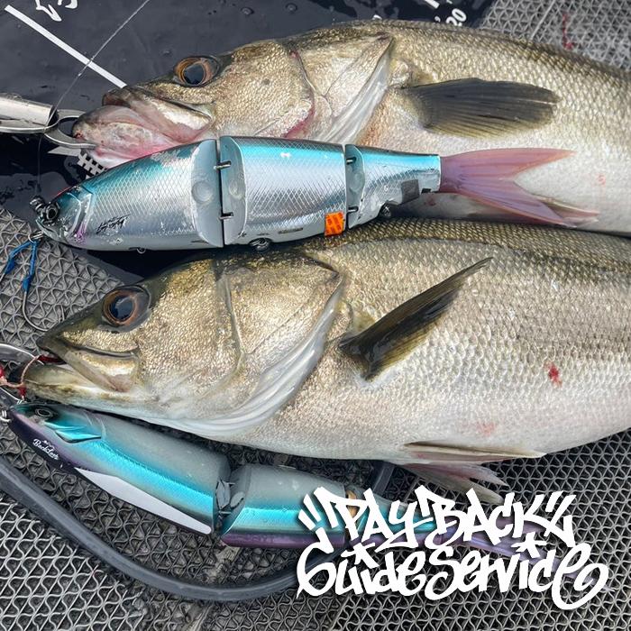 リューギ ヘッドショット 1/0 ビッグベイト専用アシストフック