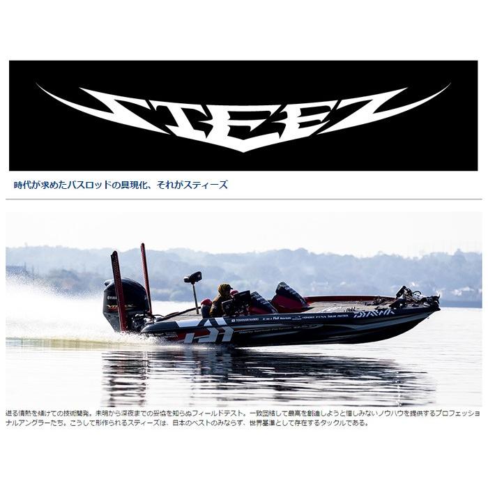 DAIWA（ダイワ） スティーズ ライトニング 6101ML/MHFB-LM DAIWA STEEZ