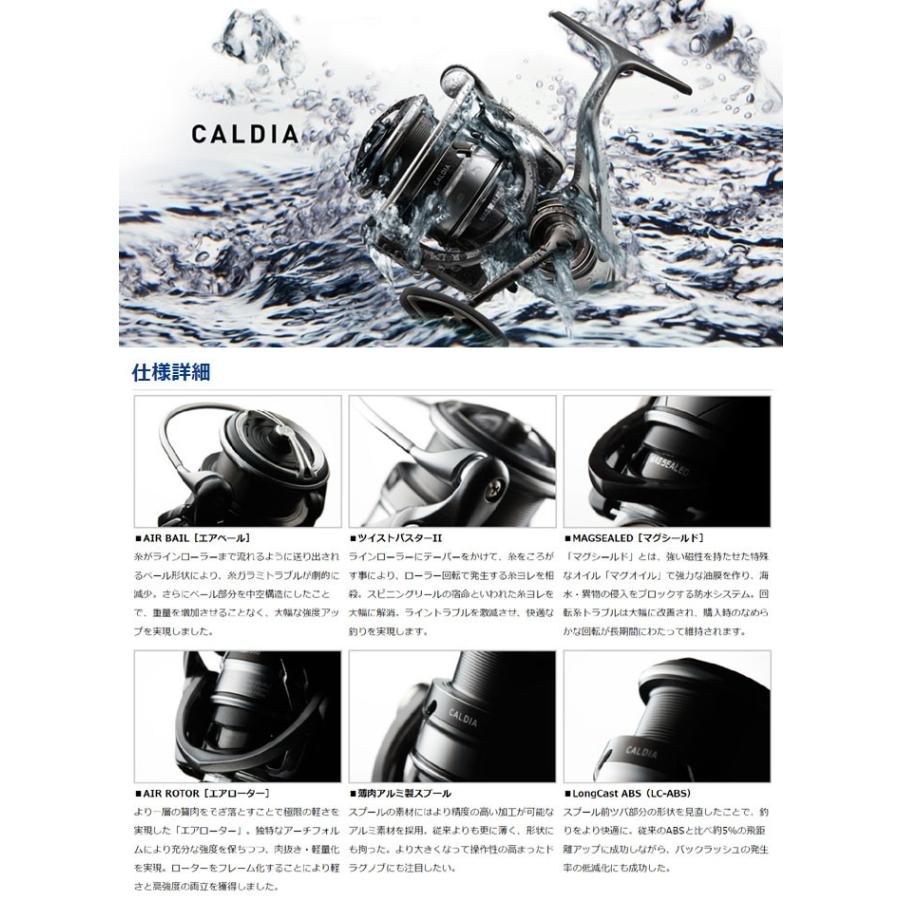 DAIWA（ダイワ） 18 カルディアLT 1000S-P DAIWA CALDIA : バック