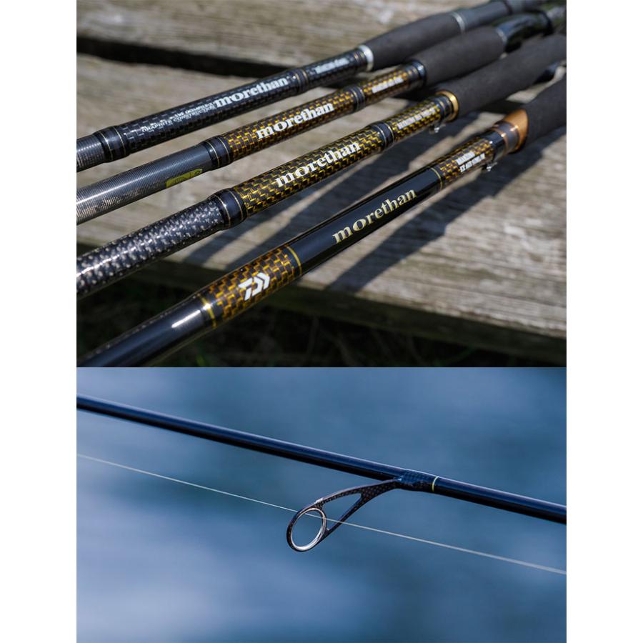 DAIWA（ダイワ） モアザン ブランジーノEX AGS 1010ML/M DAIWA