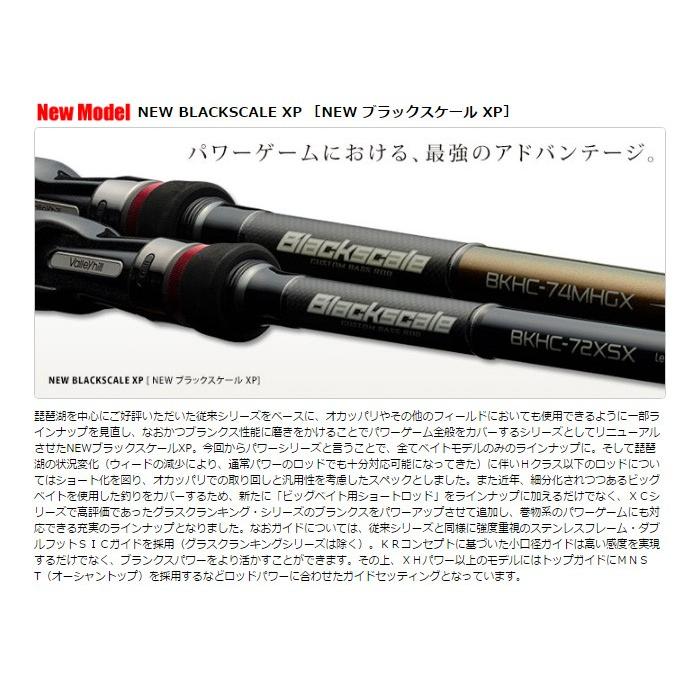 Valleyhill blackscale バレーヒル ブラックスケール ValleyHill