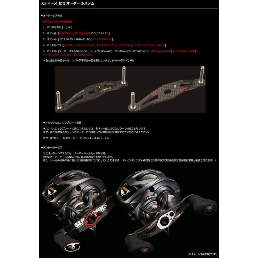 DAIWA（ダイワ） 【受注生産】 スティーズA TW セミオーダー ［右巻き