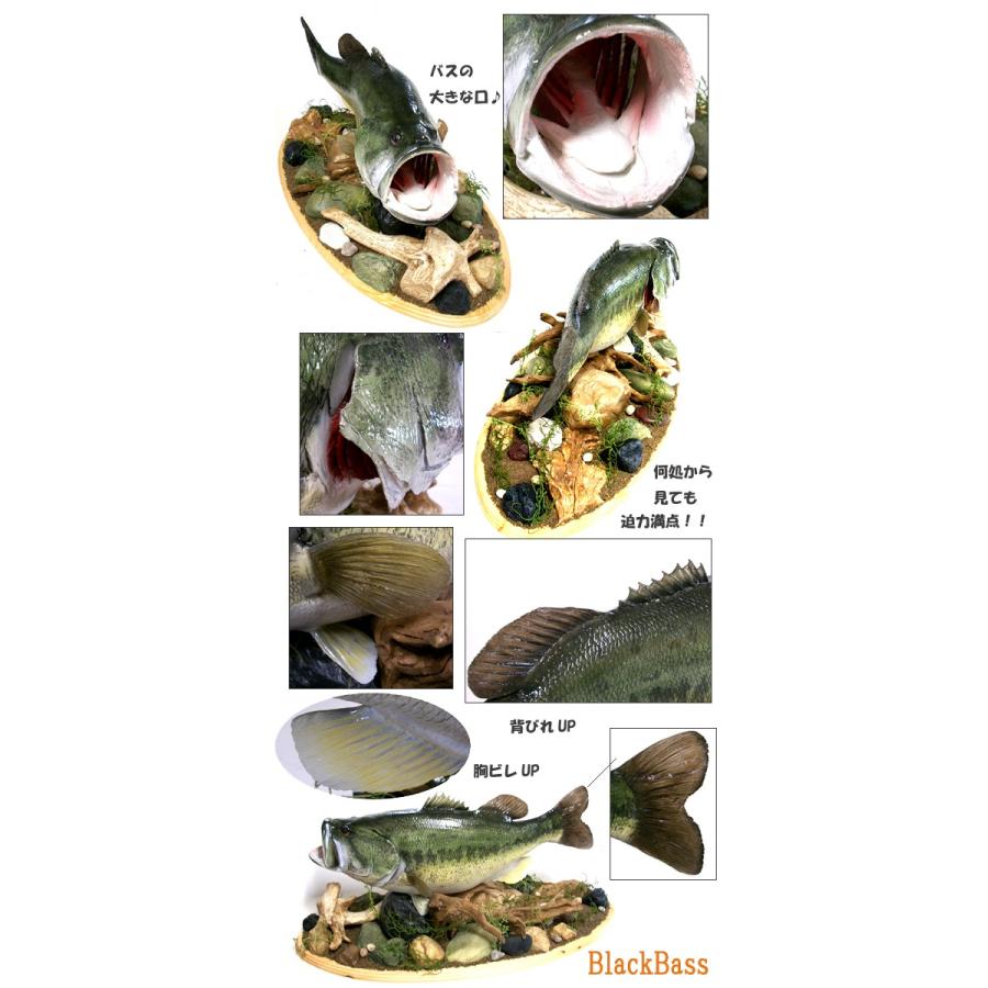 BlackBass ブラックバス レプリカ ラージマウスバス剥製風インテリア