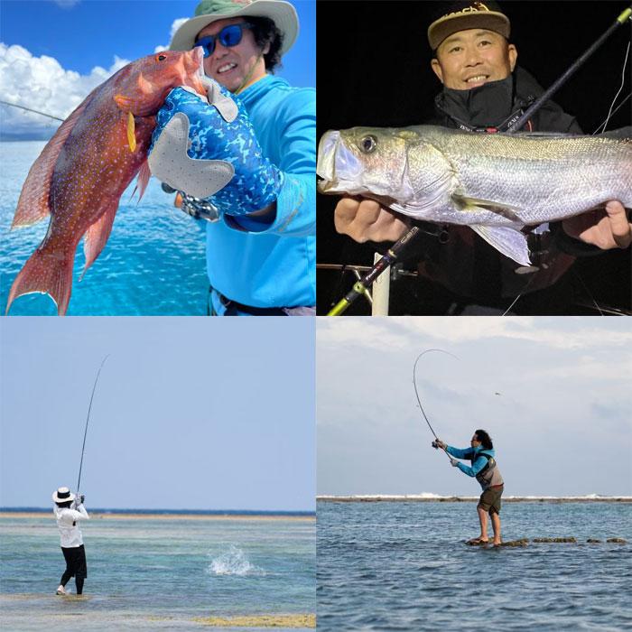 finch フィンチ カナリア 95M （パックロッド スピニング