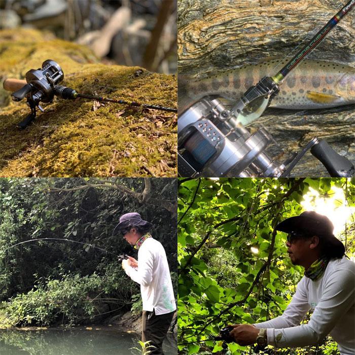 finch フィンチ カナリア C48UL （パックロッド 渓流 ベイト