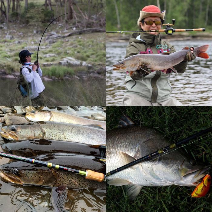 finch フィンチ カナリア 610M （パックロッド ベイト） : バック