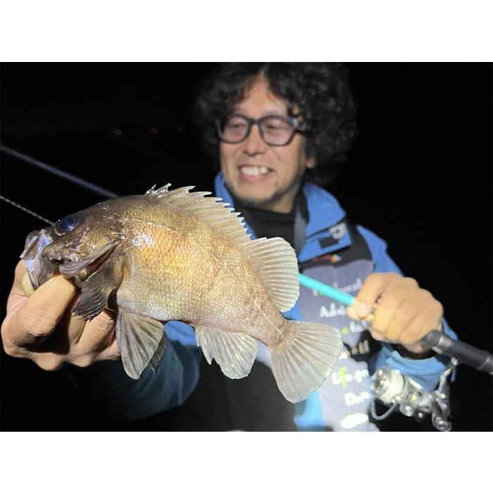 finch フィンチ カナリア アゾレス81 : バックラッシュYahoo!店