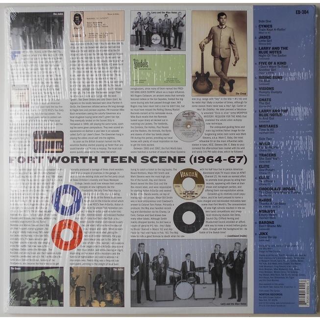 ■新品■V.A./Fort Worth teen scene! vol.1(LP)｜backpagerecords｜02