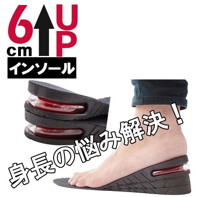 インソール 身長アップ かかと メンズ エアインソール 中敷 衝撃吸収 上げ底 レディース サイズ 調節 3段階 6cm 4 5cm 3cm 土踏まず メッシュ 3upairinsole Backyard Family バッグタウン 通販 Yahoo ショッピング
