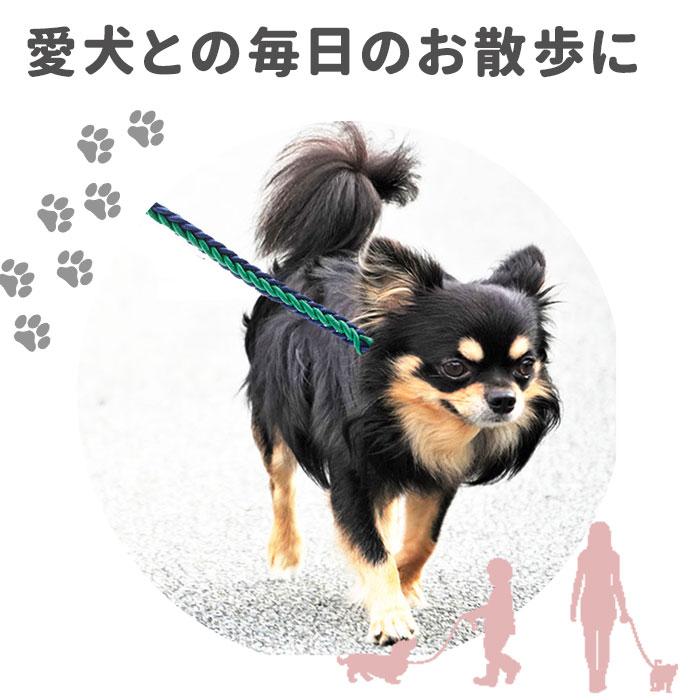 リード 犬 通販 小型犬 中型犬 大型犬 イヌ いぬ 犬用リード 太め 握りやすい 軽量 軽い おしゃれ カラフル 散歩 カジュアル トレーニング 訓練 S 10kg M :anjp003:BACKYARD FAMILY バッグタウン - 通販 - Yahoo!ショッピング リード 犬 通販 小型犬 中型犬 大型犬 イヌ いぬ 犬用リード 太め 握りやすい 軽量 軽い おしゃれ カラフル 散歩 カジュアル トレーニング 訓練 S 10kg M :anjp003:BACKYARD FAMILY バッグタウン - 通販 - Yahoo!ショッピング