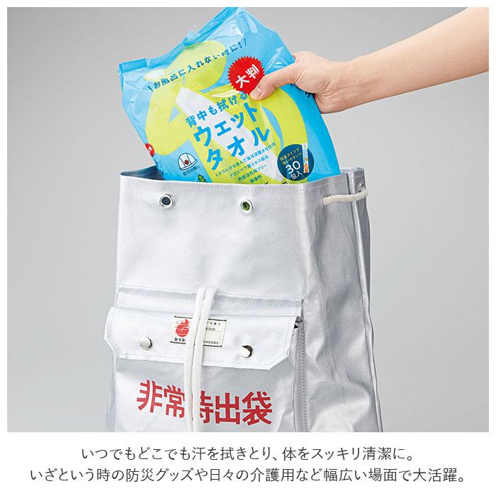 ウェットシート 大判 通販 ウェットタオル 全身 背中も拭けるウェット