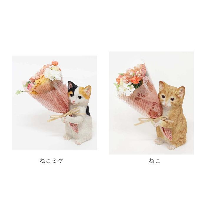 BACKYARD FAMILY（バックヤードファミリー） 花 通販花 ギフト 好評