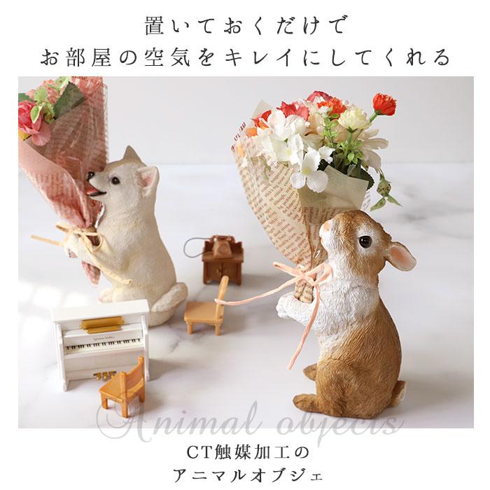 BACKYARD FAMILY（バックヤードファミリー） 花 通販花 ギフト 好評