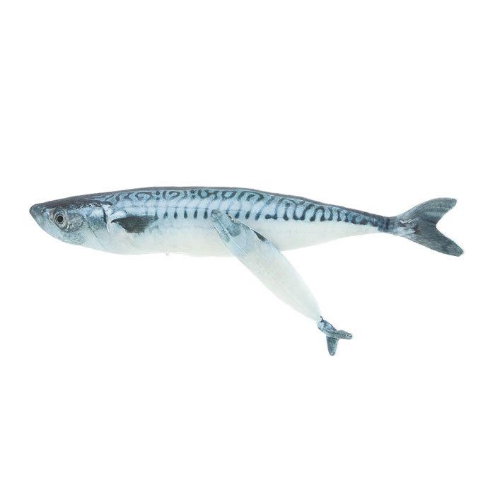 猫 おもちゃ 魚 通販 一人遊び ネコ ねこ ぬいぐるみ 抱き枕 けりぐるみ 蹴りぐるみ リアル お魚 噛む 歯 クリーニング 運動不足 ストレス Cwj09 Backyard Family バッグタウン 通販 Yahoo ショッピング