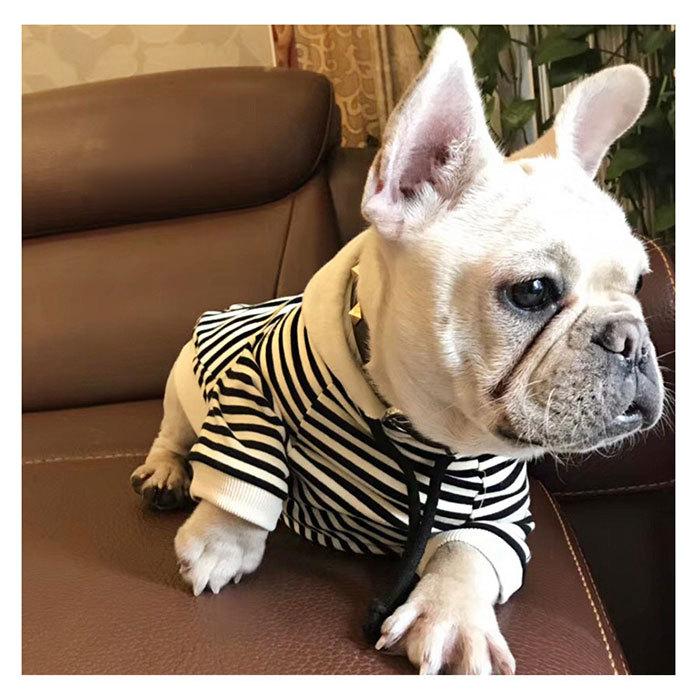 ペット 服 男の子 未使用 レディ 犬 dw08.jpg