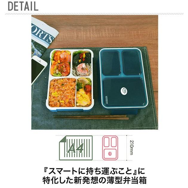 フードマン 弁当箱 600 600ml 薄型 ケース 女子 男子 食器洗浄機対応 1段 コンパクト 大人 小学生 通勤 通学 ランチボックス スマート スリム Fdm600 Backyard Family バッグタウン 通販 Yahoo ショッピング