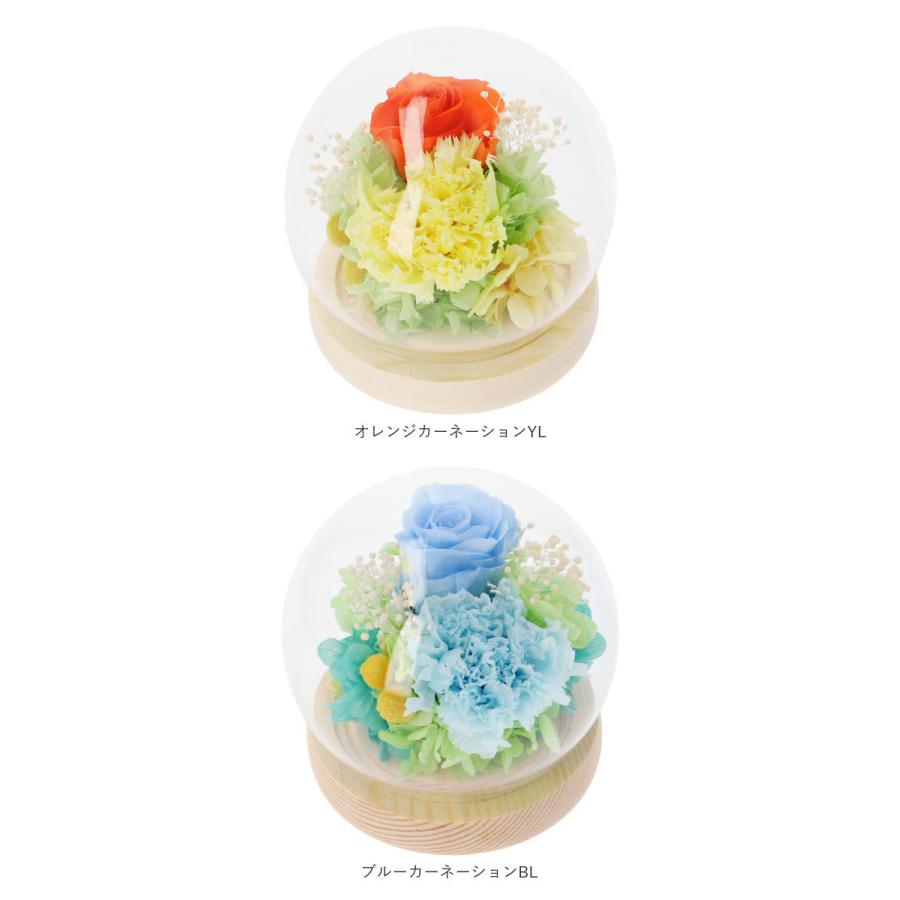 プリザーブドフラワー ガラスドーム 通販 フラワーアレンジメント おしゃれ 母の日 誕生日 記念日 ギフト プレゼント 贈り物 スフィアガラスドーム Glassdome Backyard Family バッグタウン 通販 Yahoo ショッピング