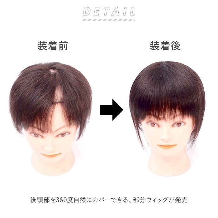 部分ウィッグ 通販部分ウィッグ 人工毛 頭頂部 白髪隠し つむじ