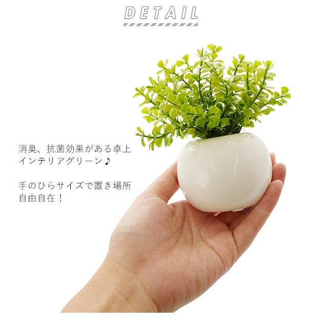 光触媒観葉植物 おしゃれ 通販 観葉植物 光触媒 フェイク 小さい 枯れない 造花 フェイクグリーン リアル インテリアグリーン ミニ 小さめ コンパクト Roundpot Backyard Family バッグタウン 通販 Yahoo ショッピング