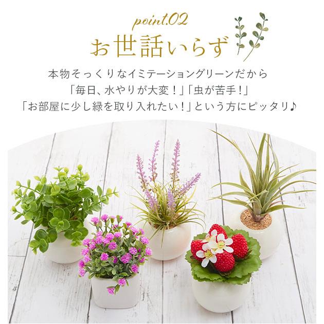 光触媒観葉植物 おしゃれ 通販 観葉植物 光触媒 フェイク 小さい 光触媒観葉植物 おしゃれ 通販 観葉植物 光触媒 フェイク 小さい