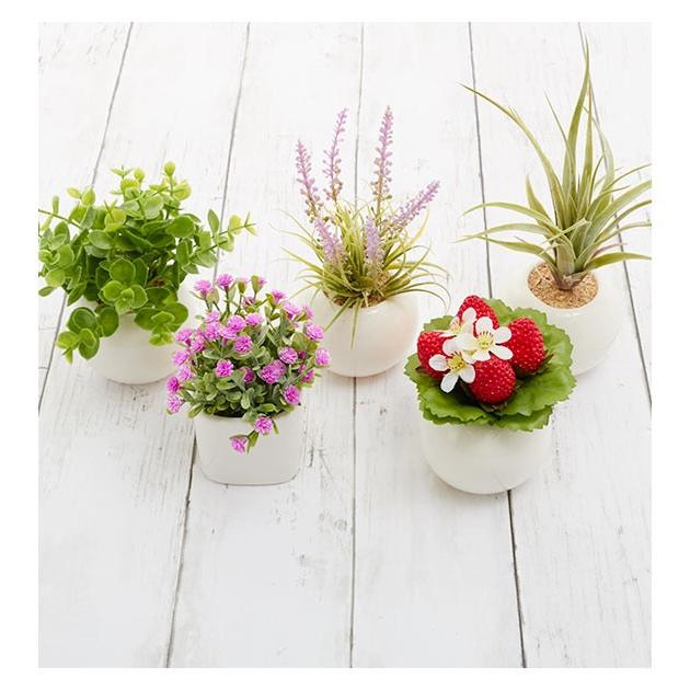 光触媒観葉植物 おしゃれ 通販 観葉植物 光触媒 フェイク 小さい 枯れない 造花 フェイクグリーン リアル インテリアグリーン ミニ 小さめ コンパクト Roundpot Backyard Family バッグタウン 通販 Yahoo ショッピング